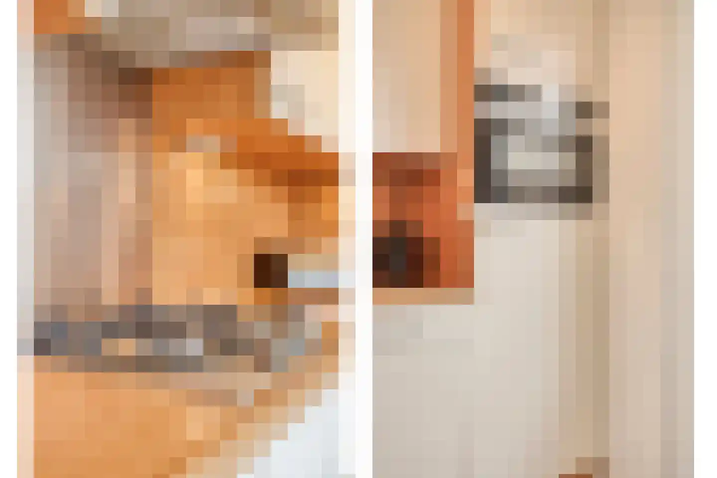 Roodkapje 92 Eindhoven thumbnail 12