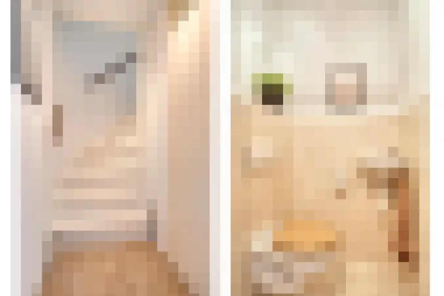 Roodkapje 92 Eindhoven thumbnail 7