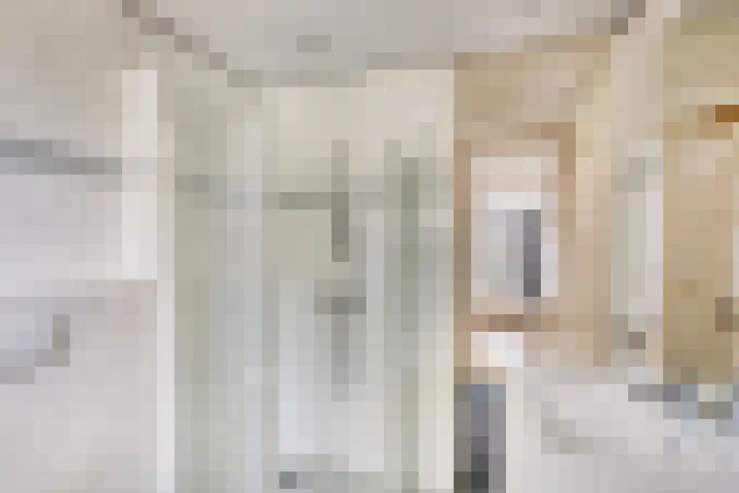 Roodmus 22 Veenendaal thumbnail 16