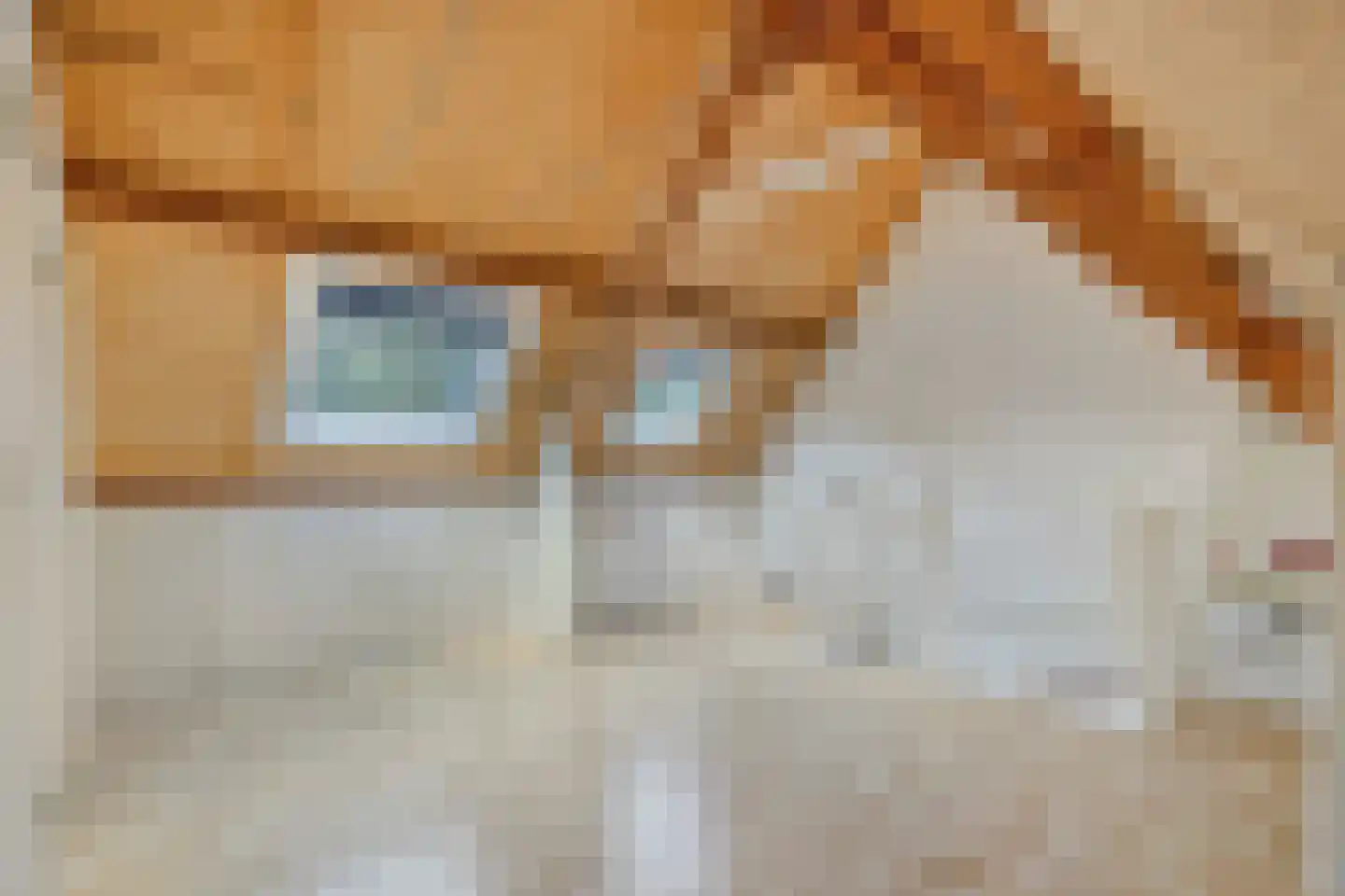 Roodmus 22 Veenendaal thumbnail 20