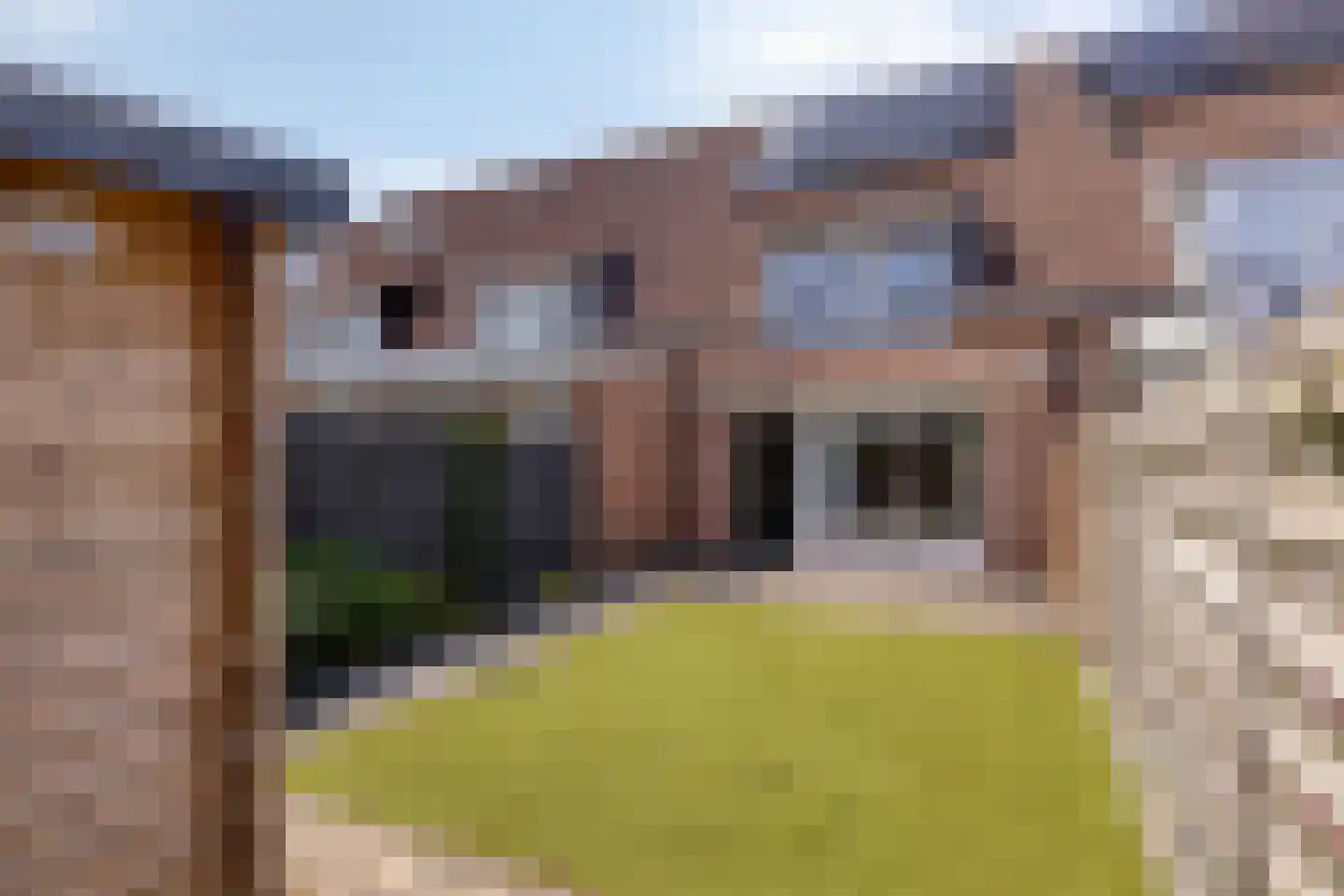 Roodmus 22 Veenendaal thumbnail 22
