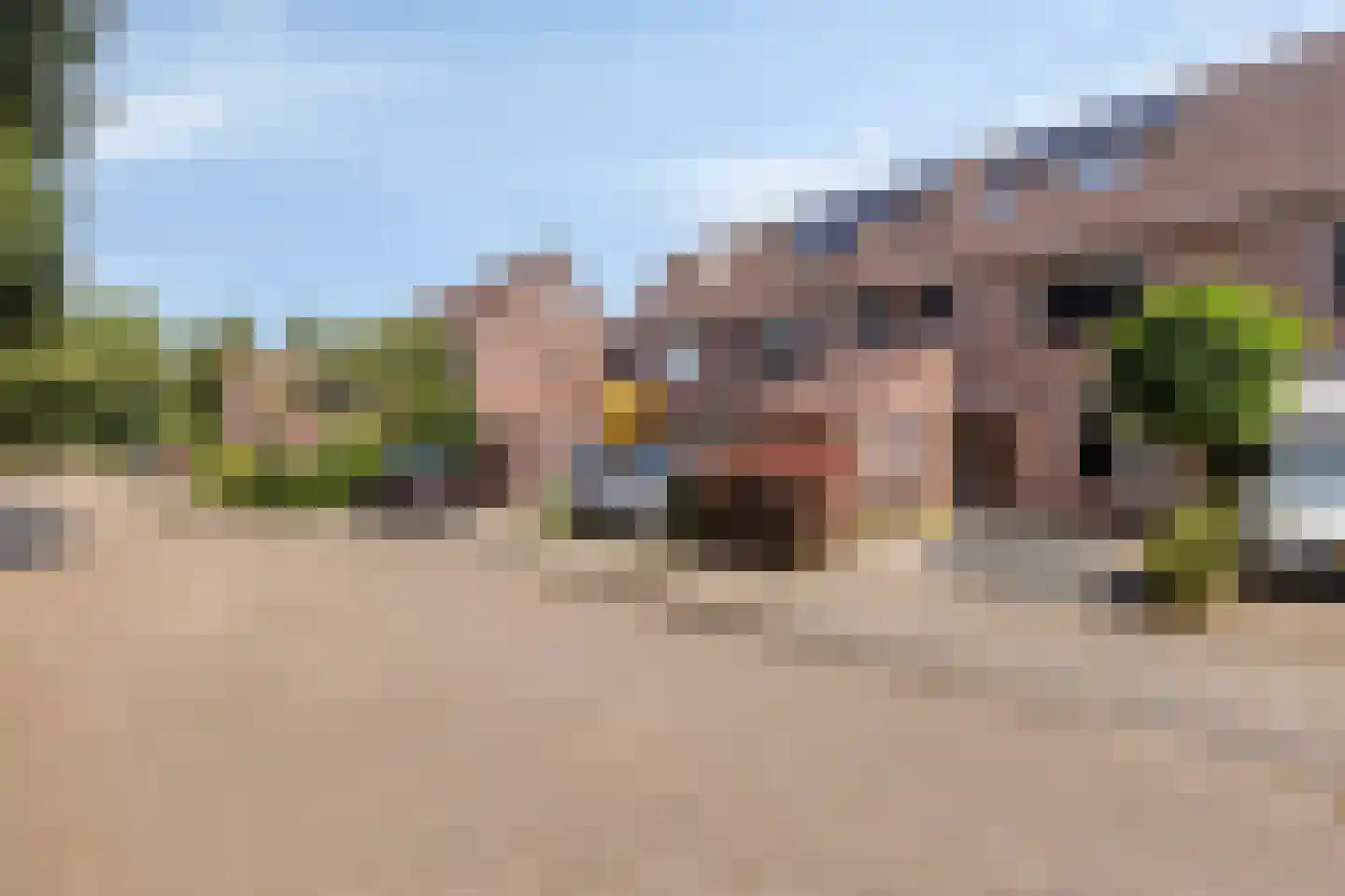 Roodmus 22 Veenendaal thumbnail 24