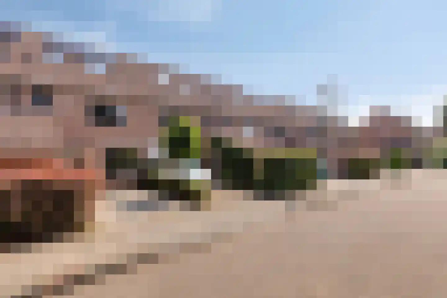 Roodmus 22 Veenendaal thumbnail 25