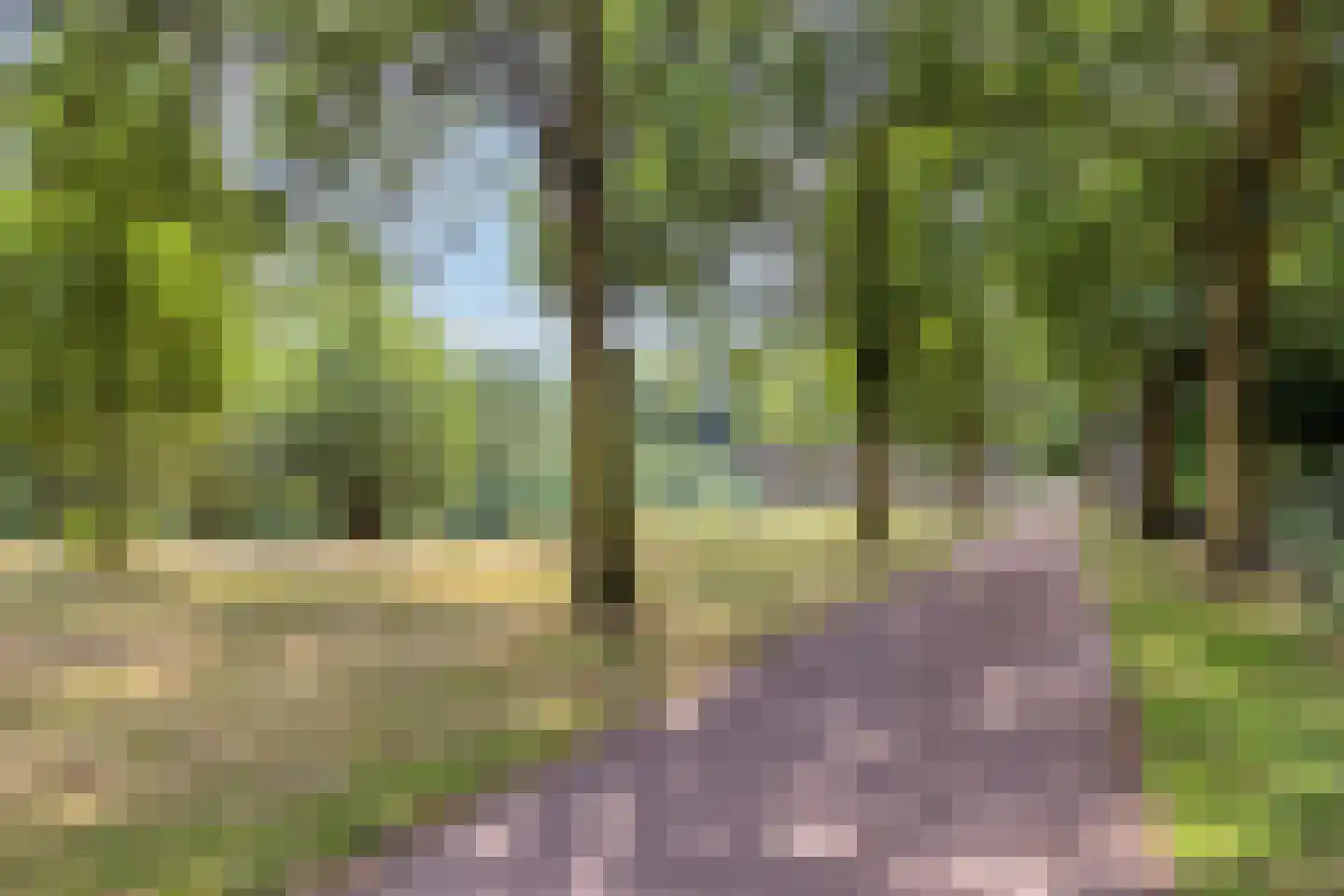 Roodmus 22 Veenendaal thumbnail 27