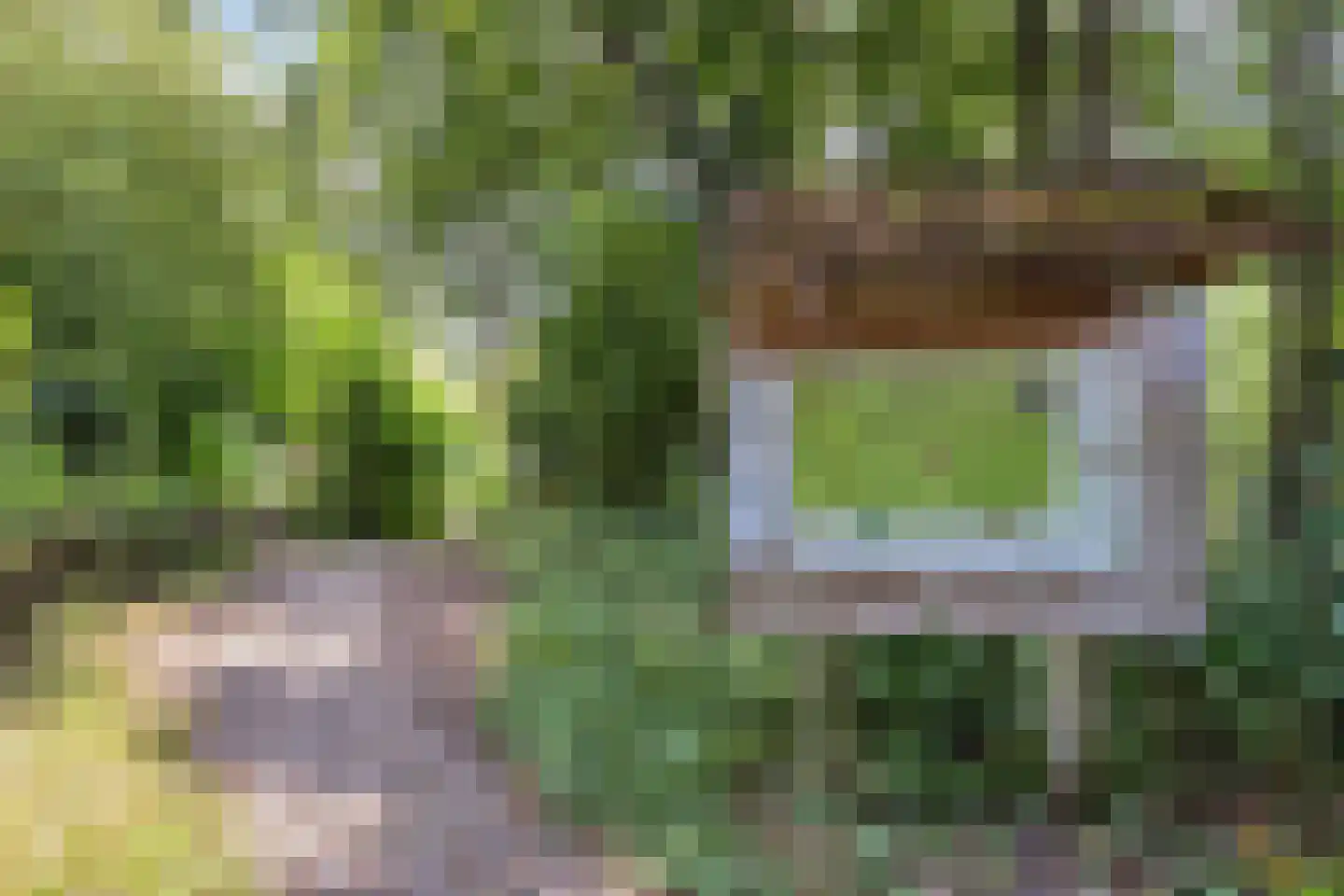 Roodmus 22 Veenendaal thumbnail 28
