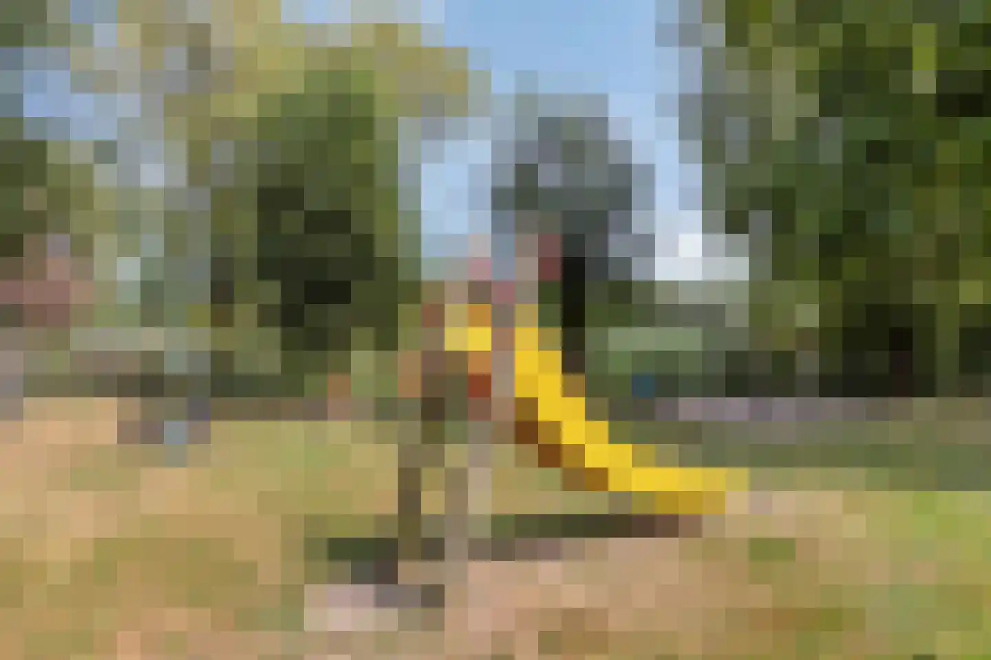 Roodmus 22 Veenendaal thumbnail 29