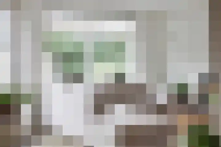 Roodmus 3 Veenendaal thumbnail 13