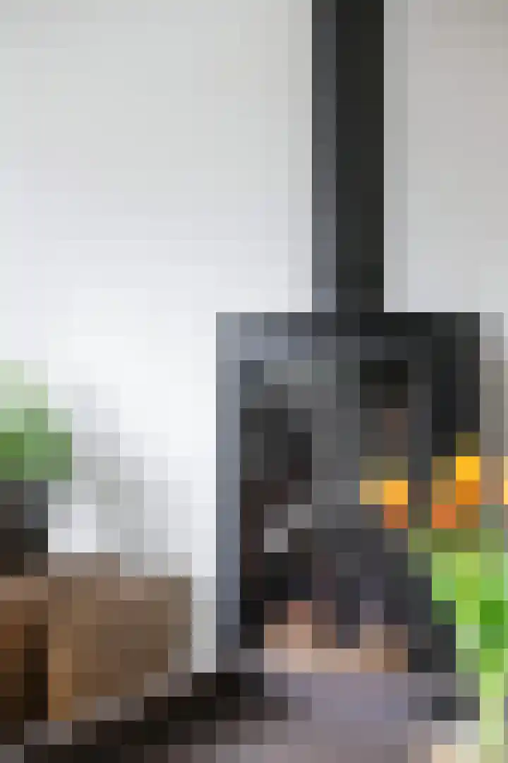 Roodmus 3 Veenendaal thumbnail 14