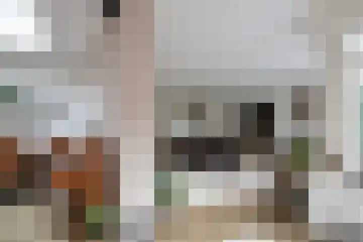 Roodmus 3 Veenendaal thumbnail 17