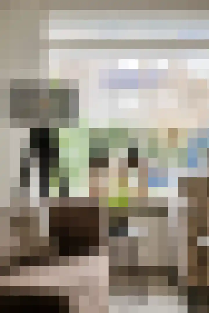 Roodmus 3 Veenendaal thumbnail 19