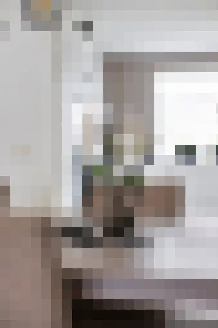 Roodmus 3 Veenendaal thumbnail 20