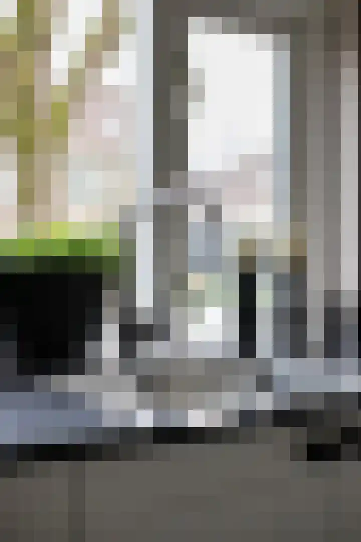 Roodmus 3 Veenendaal thumbnail 24
