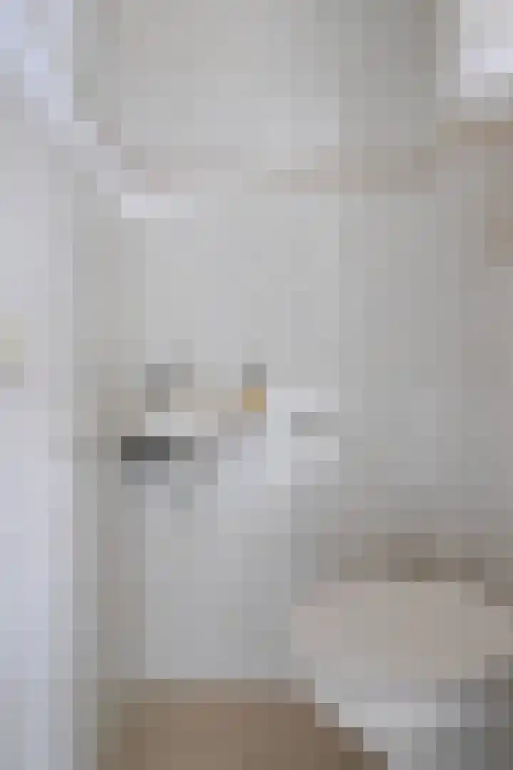 Roodmus 3 Veenendaal thumbnail 26