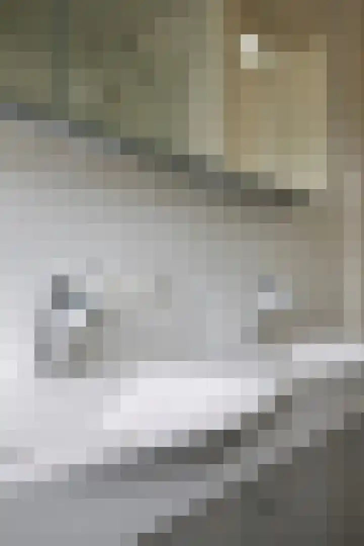 Roodmus 3 Veenendaal thumbnail 30