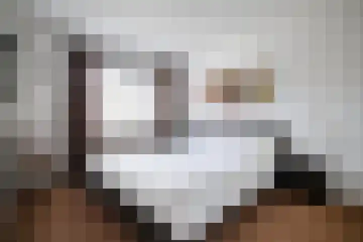 Roodmus 3 Veenendaal thumbnail 31