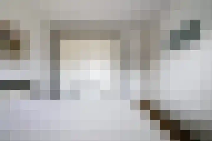 Roodmus 3 Veenendaal thumbnail 32