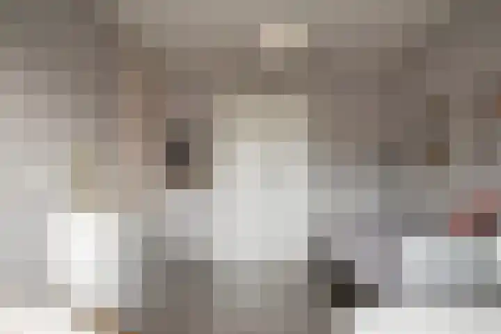 Roodmus 3 Veenendaal thumbnail 35