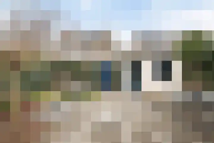 Roodmus 3 Veenendaal thumbnail 46