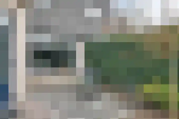 Roodmus 3 Veenendaal thumbnail 48