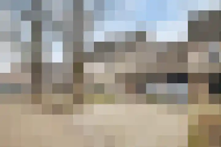 Roodmus 3 Veenendaal thumbnail 50