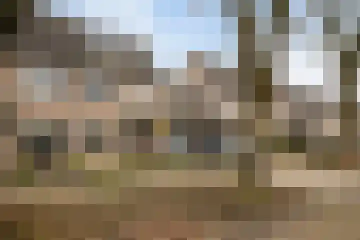 Roodmus 3 Veenendaal thumbnail 51
