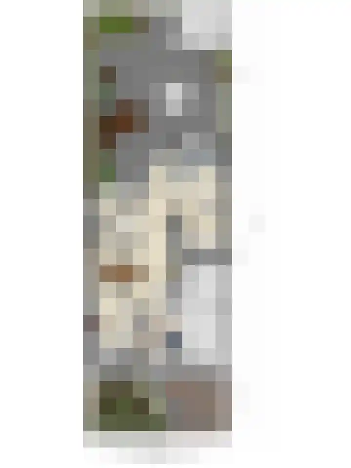Roodmus 3 Veenendaal thumbnail 56