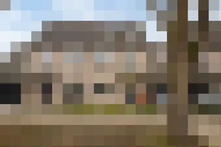 Roodmus 3 Veenendaal thumbnail 6