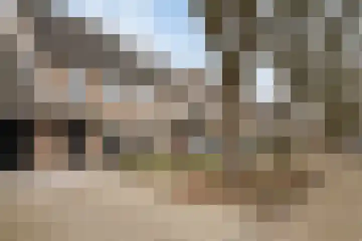 Roodmus 3 Veenendaal thumbnail 7