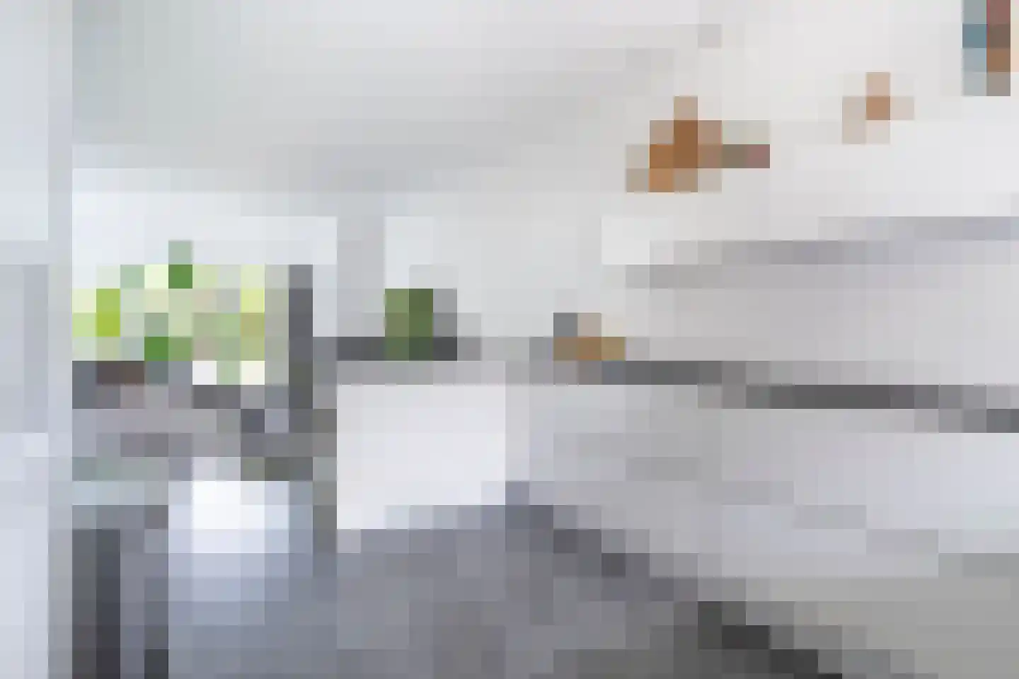 Roodmus 38 Nieuwegein thumbnail 13
