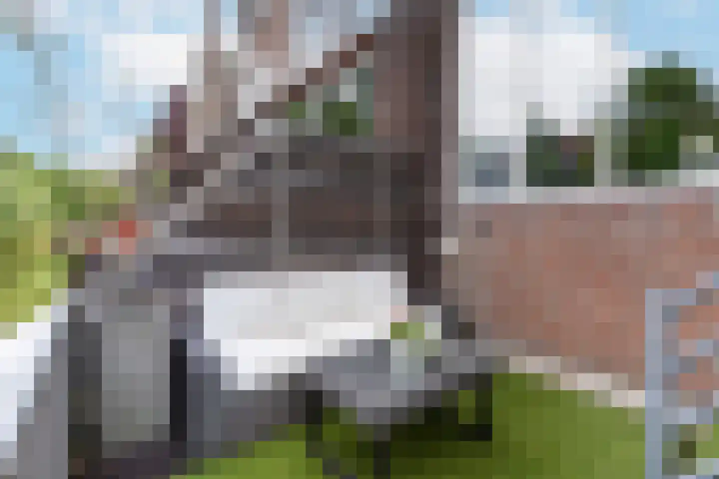 Roodmus 38 Nieuwegein thumbnail 17