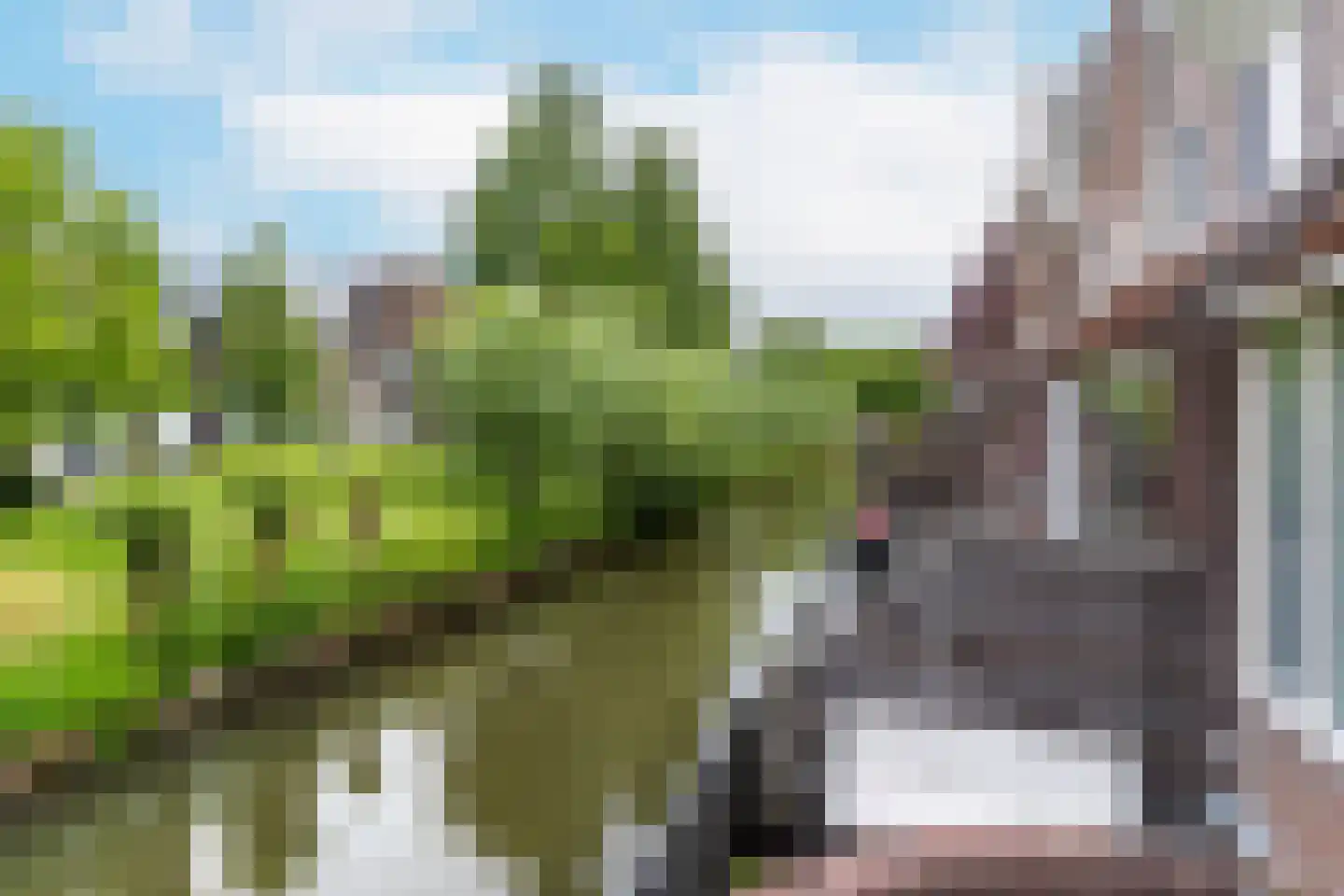 Roodmus 38 Nieuwegein thumbnail 18