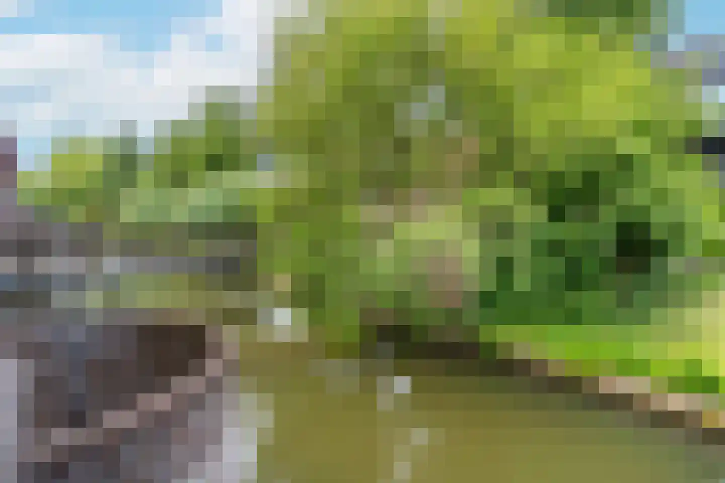 Roodmus 38 Nieuwegein thumbnail 19