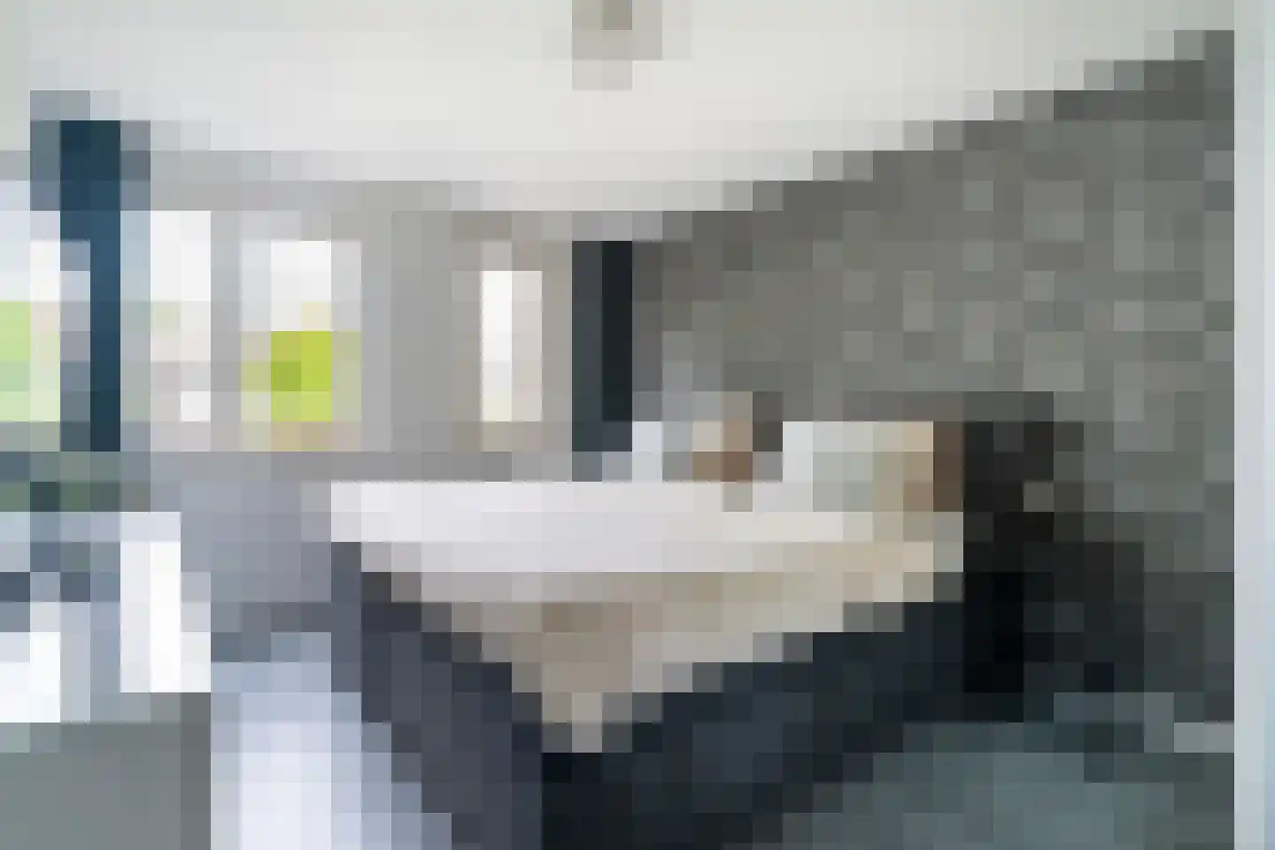 Roodmus 38 Nieuwegein thumbnail 20
