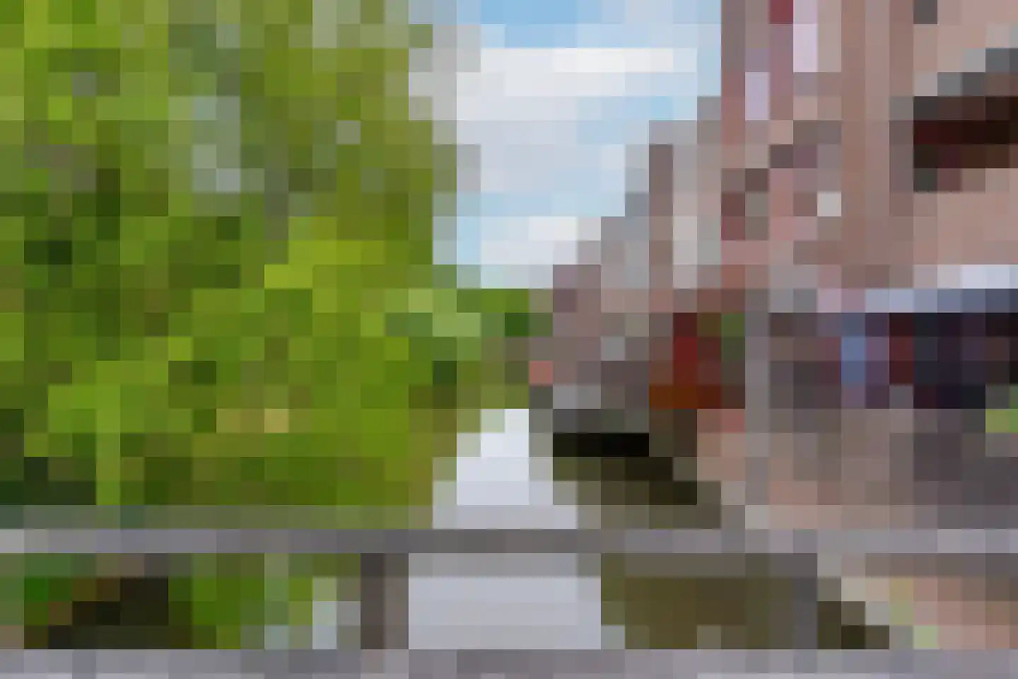 Roodmus 38 Nieuwegein thumbnail 38