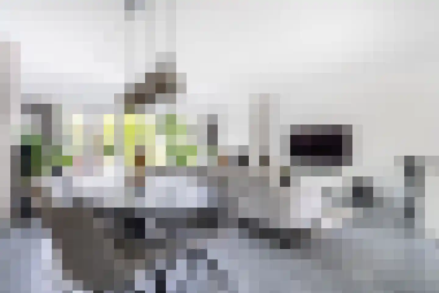 Roodmus 38 Nieuwegein thumbnail 5