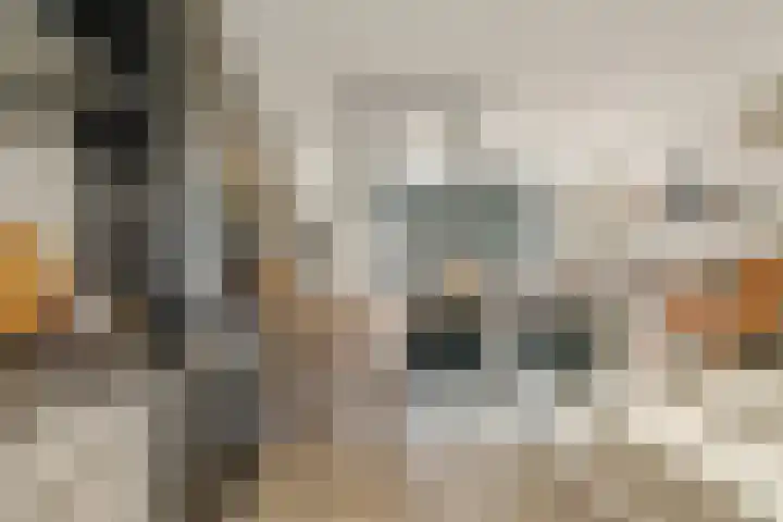 Roodstaart 17 Boxmeer thumbnail 13