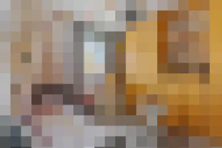 Roodstaart 17 Boxmeer thumbnail 21
