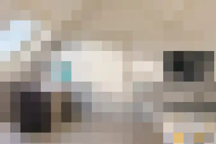 Roodstaart 17 Boxmeer thumbnail 26