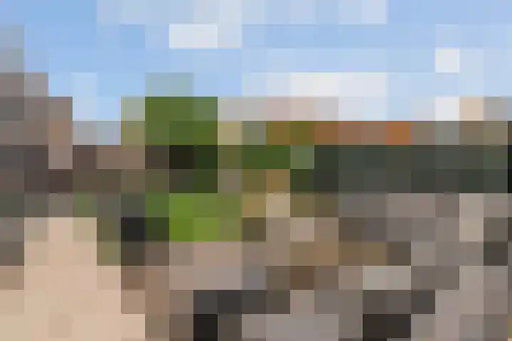Roodstaart 17 Boxmeer thumbnail 27