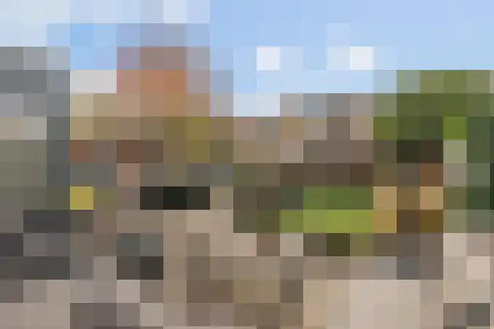 Roodstaart 17 Boxmeer thumbnail 28