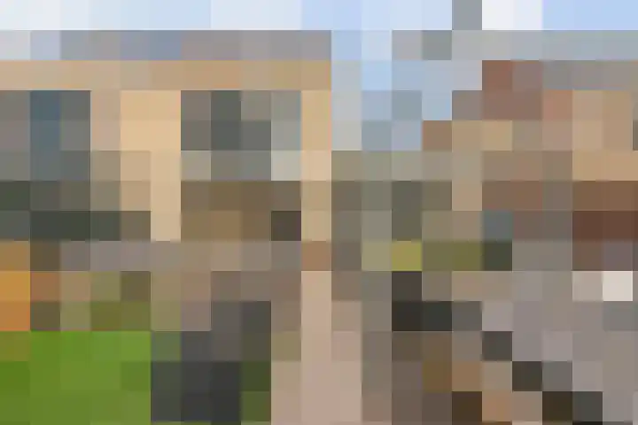 Roodstaart 17 Boxmeer thumbnail 30