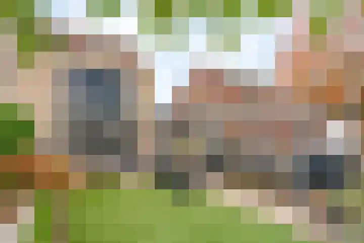 Roodstaart 17 Boxmeer thumbnail 31