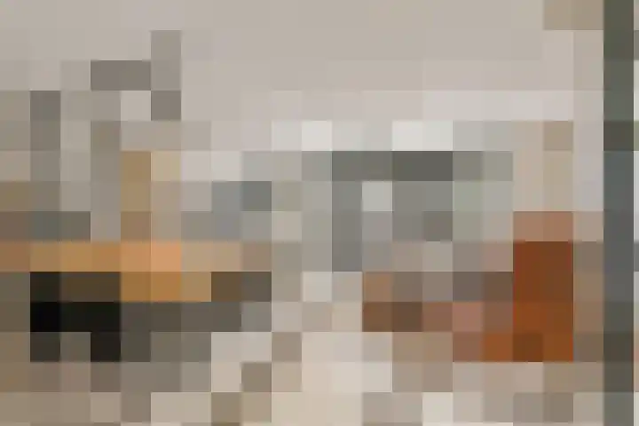 Roodstaart 17 Boxmeer thumbnail 5