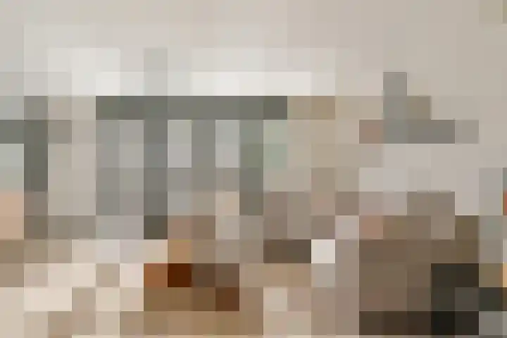 Roodstaart 17 Boxmeer thumbnail 6