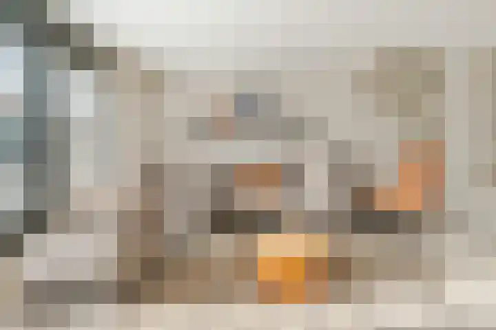 Roodstaart 17 Boxmeer thumbnail 7