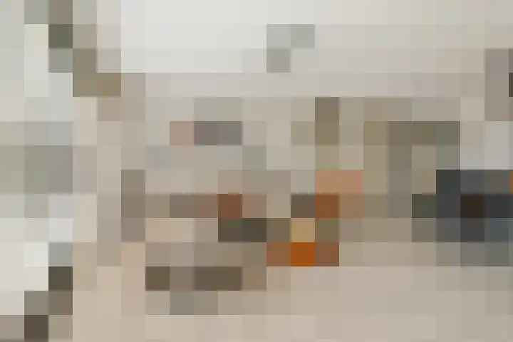 Roodstaart 17 Boxmeer thumbnail 8