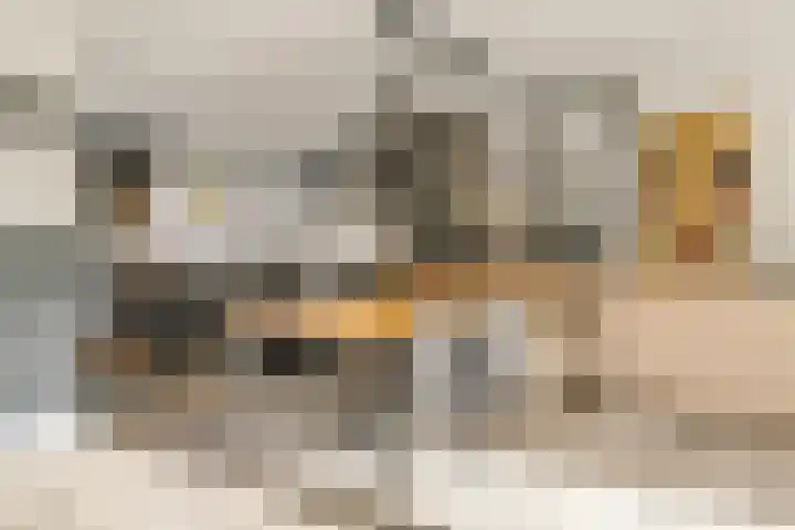 Roodstaart 17 Boxmeer thumbnail 9