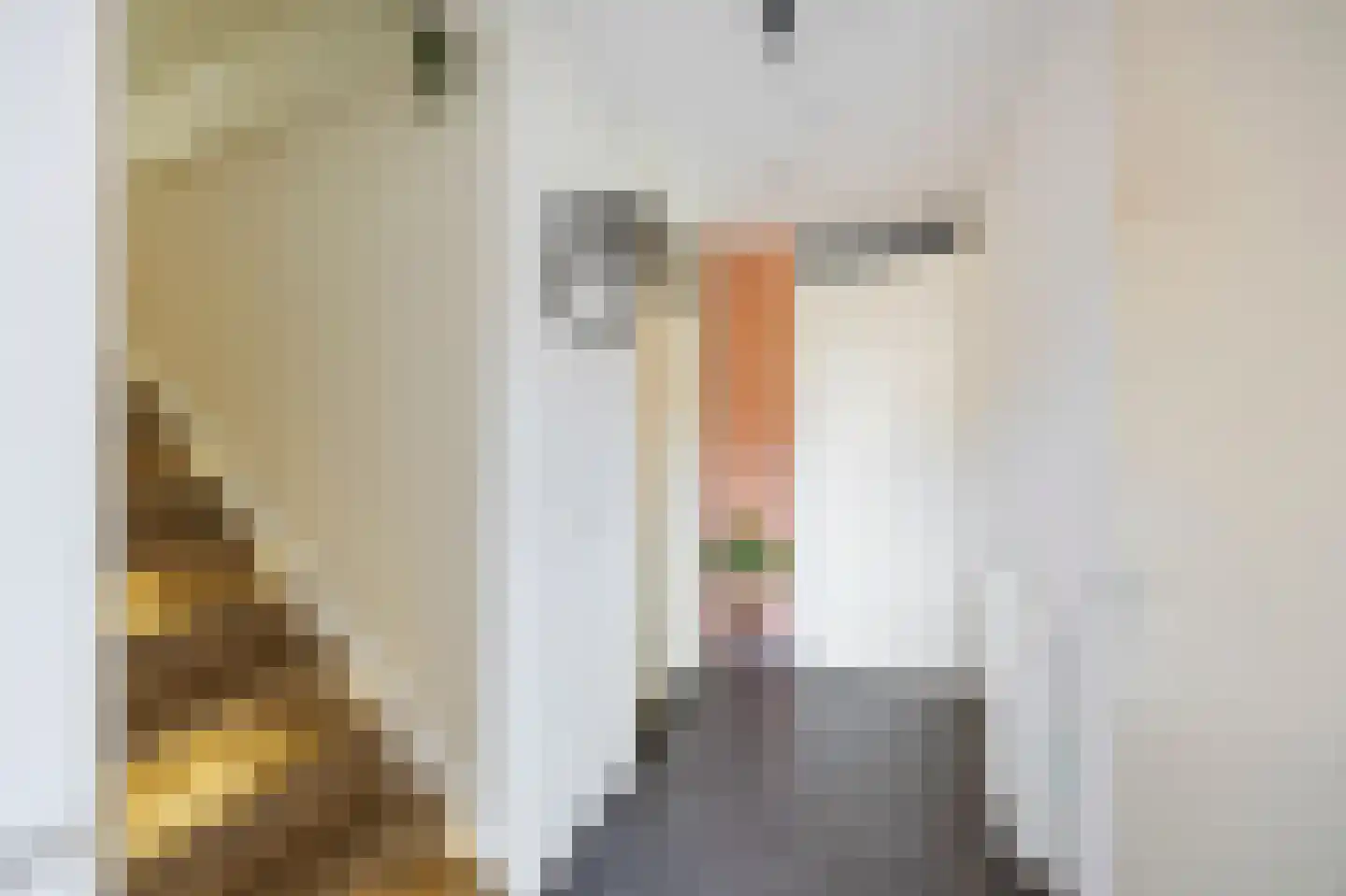 Roodtstraat 46 Echt thumbnail 10