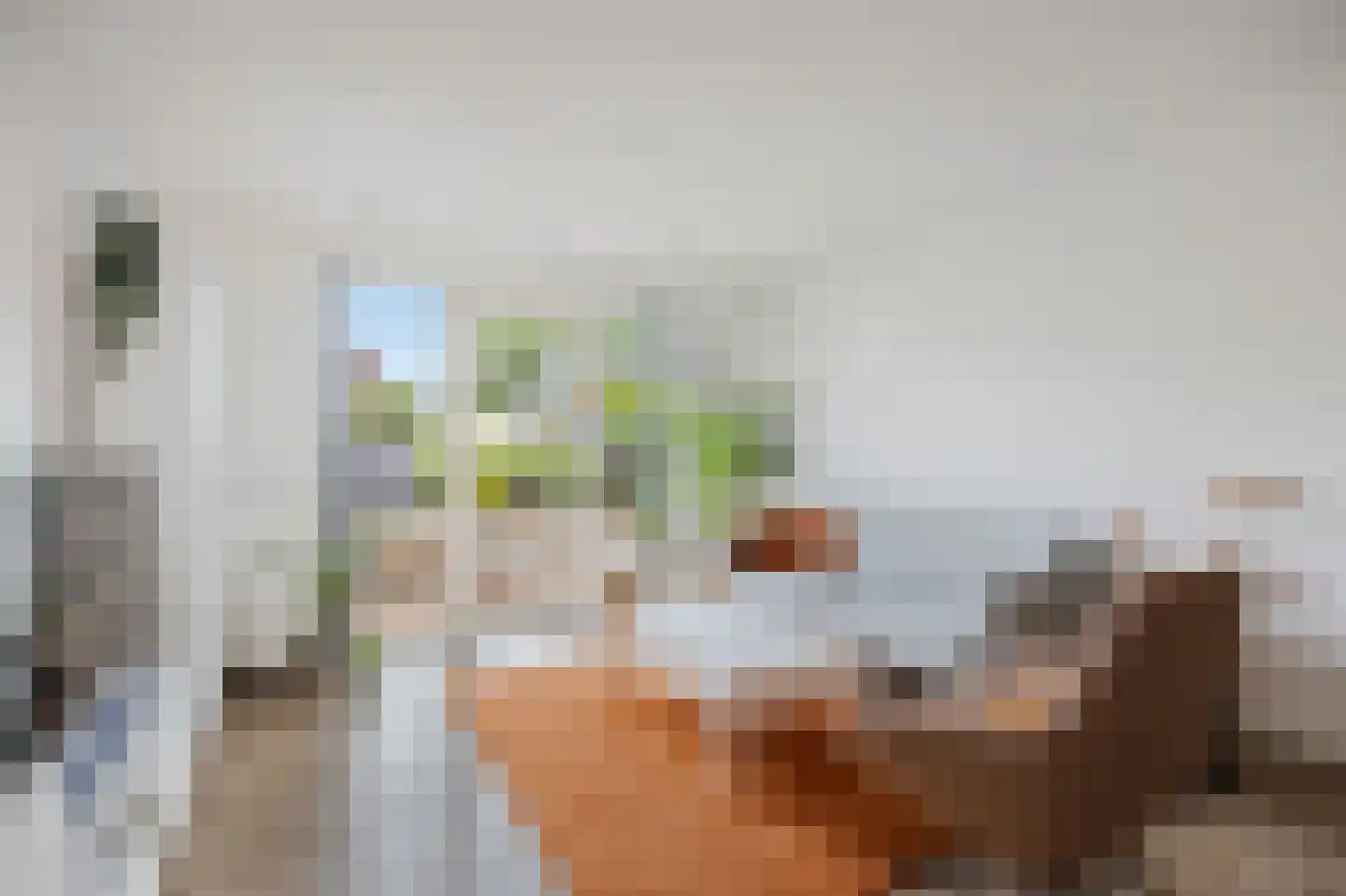 Roodtstraat 46 Echt thumbnail 14