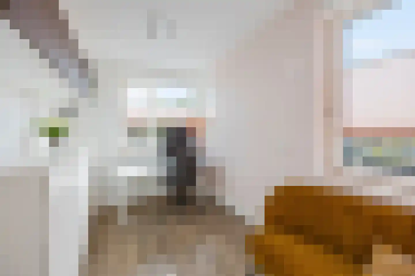 Roodtstraat 46 Echt thumbnail 28